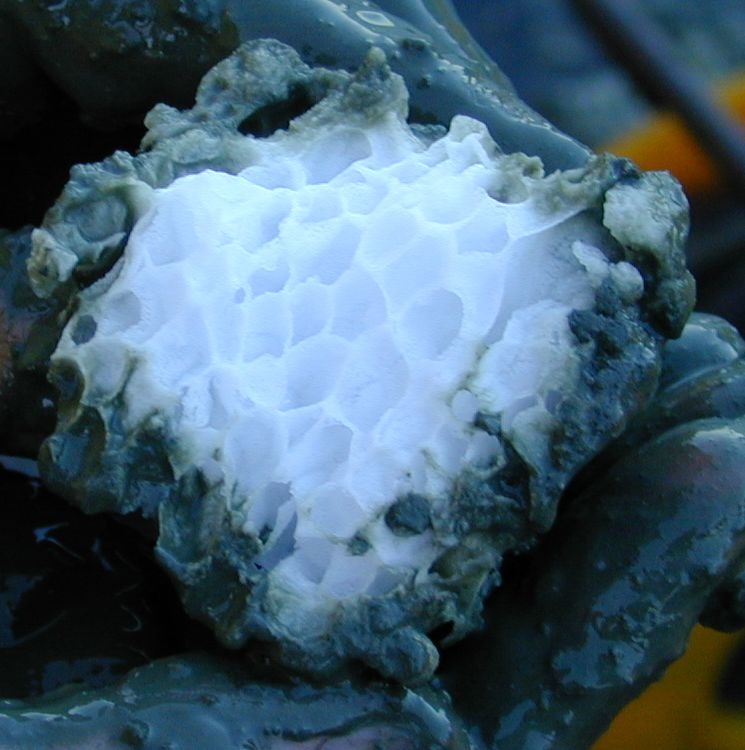 Structure of a gas hydrate (methane clathrate) block