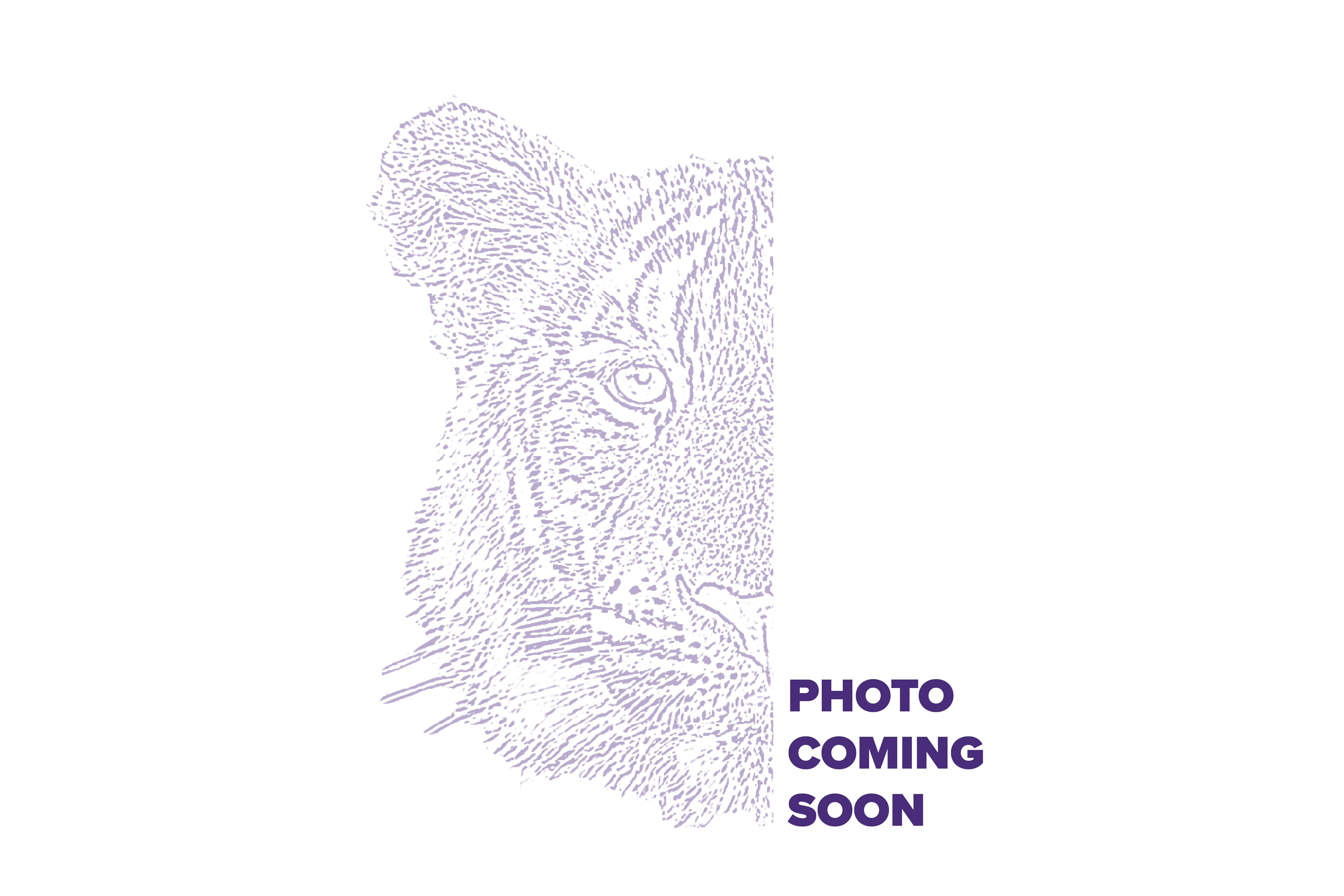 Janie's Headshot Coming Soon